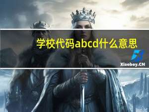 学校代码abcd什么意思