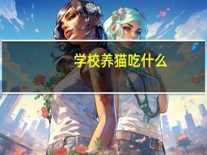 学校养猫吃什么