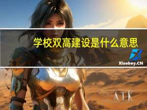 学校双高建设是什么意思