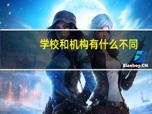 学校和机构有什么不同