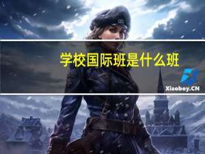 学校国际班是什么班
