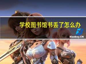 学校图书馆书丢了怎么办