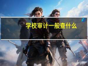 学校审计一般查什么