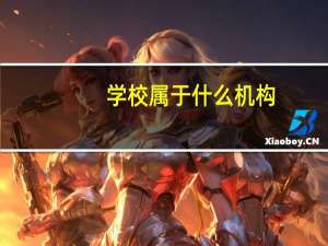 学校属于什么机构？