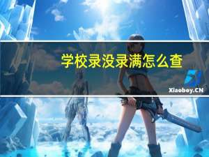 学校录没录满怎么查