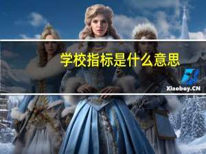 学校指标是什么意思