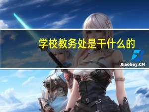 学校教务处是干什么的