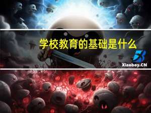 学校教育的基础是什么