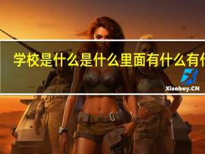 学校是什么是什么里面有什么有什么