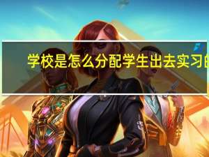 学校是怎么分配学生出去实习的