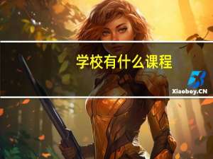 学校有什么课程