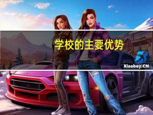 学校的主要优势