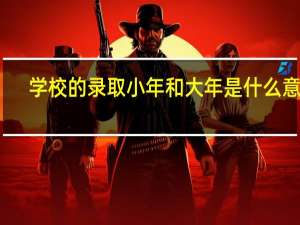 学校的录取小年和大年是什么意思