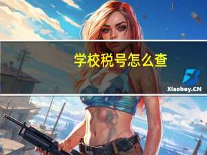 学校税号怎么查