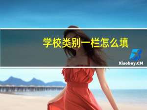 学校类别一栏怎么填