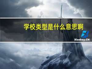 学校类型是什么意思啊