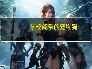 学校能带的宠物狗