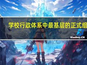 学校行政体系中最基层的正式组织