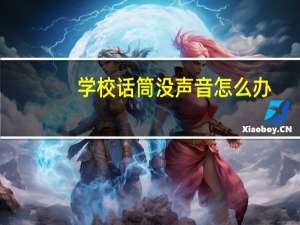 学校话筒没声音怎么办（话筒没声音怎么办）