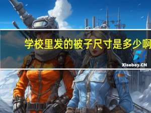 学校里发的被子尺寸是多少啊