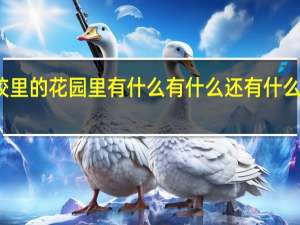 学校里的花园里有什么有什么还有什么怎么造句