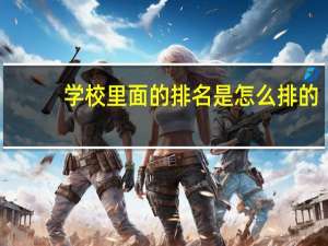学校里面的排名是怎么排的,看学分吗
