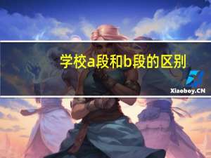 学校a段和b段的区别