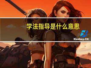 学法指导是什么意思
