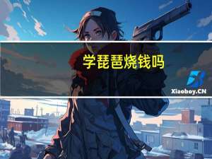 学琵琶烧钱吗