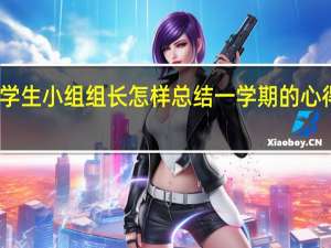 学生小组组长怎样总结一学期的心得得失
