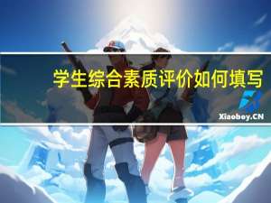 学生综合素质评价如何填写