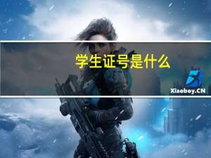 学生证号是什么