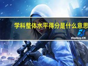 学科整体水平得分是什么意思