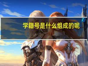 学籍号是什么组成的呢（学籍号是什么组成的）