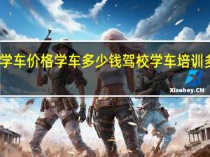 学车价格学车多少钱 驾校学车培训多少钱