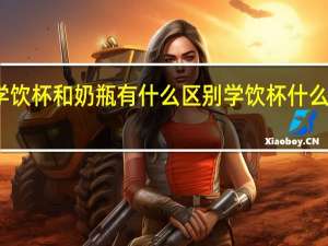 学饮杯和奶瓶有什么区别 学饮杯什么牌子好