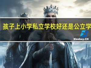 孩子上小学私立学校好还是公立学校好