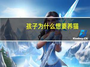 孩子为什么想要养猫