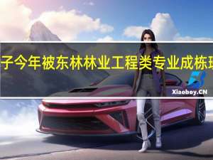 孩子今年被东林林业工程类专业成栋班录取了，这个专业以后发展好吗