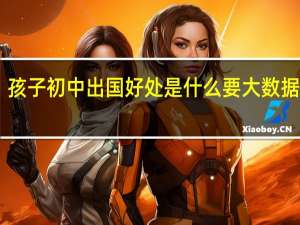 孩子初中出国好处是什么 要大数据哦66