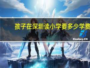 孩子在深圳读小学要多少学费