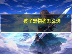 孩子宠物狗怎么选