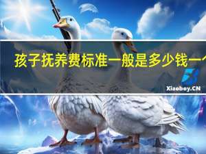 孩子抚养费标准一般是多少钱一个月