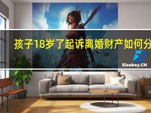 孩子18岁了起诉离婚财产如何分割