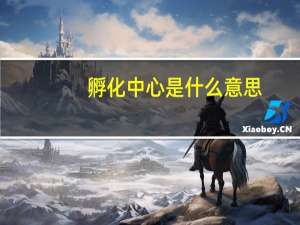 孵化中心是什么意思