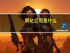 孵化公司是什么