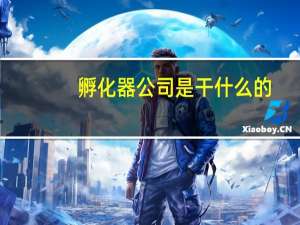 孵化器公司是干什么的