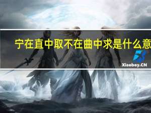 宁在直中取不在曲中求是什么意思