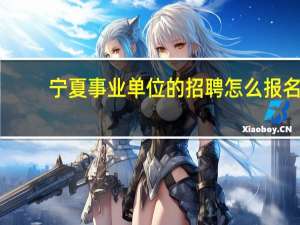 宁夏事业单位的招聘怎么报名