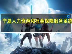 宁夏人力资源和社会保障服务系统官网（潍坊市人力资源社会保障服务系统）